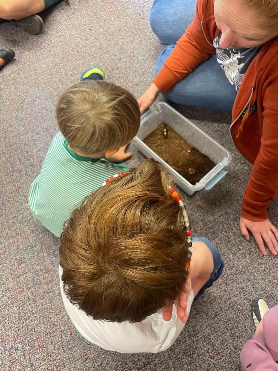 A teacher shows a clear observation tub of soil and a shiny insect to learners sitting in a circle on the classroom floor