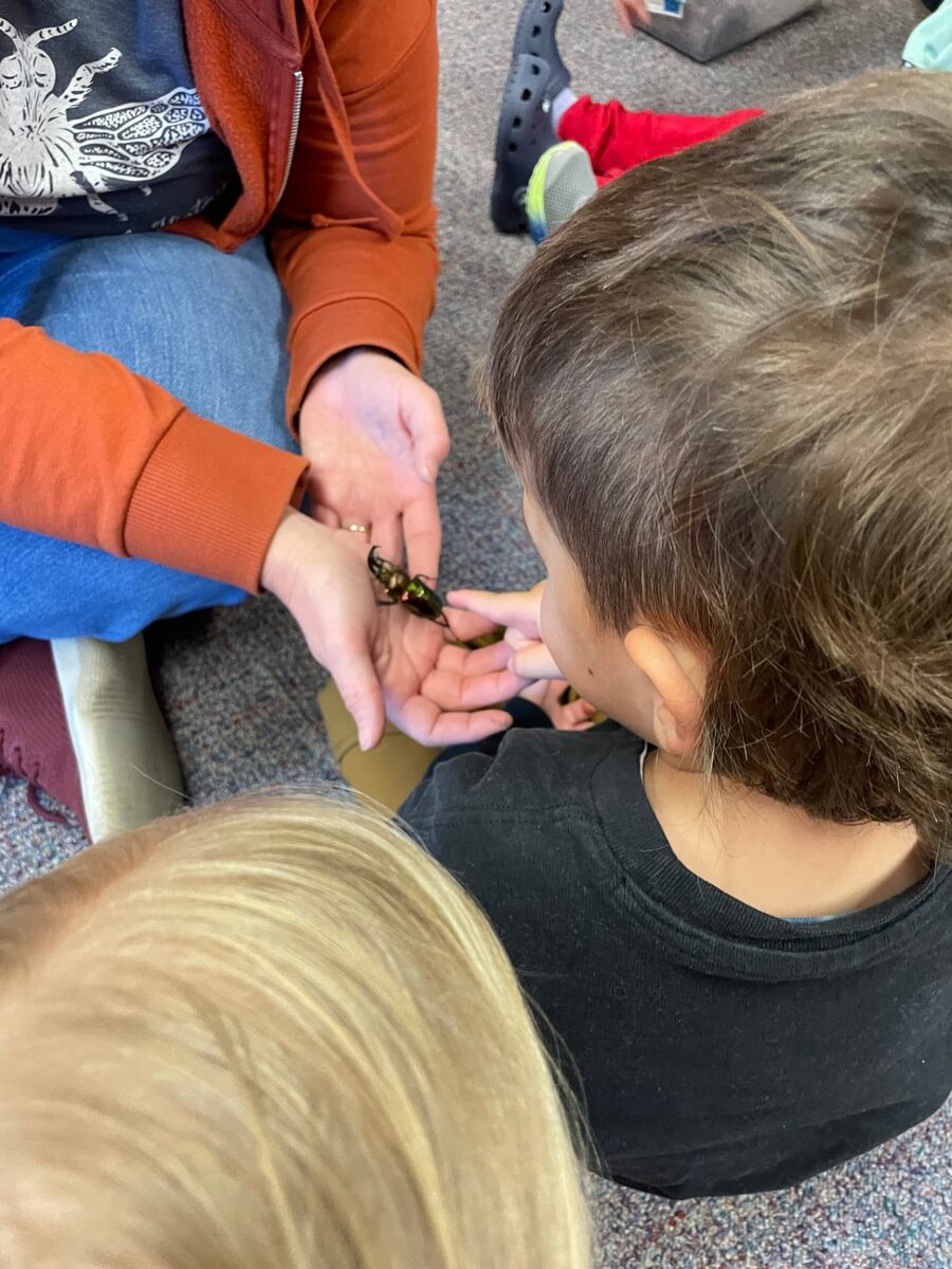 A teacher holds a large iridescent beetle on an open palm while a learner leans in for a closer look
