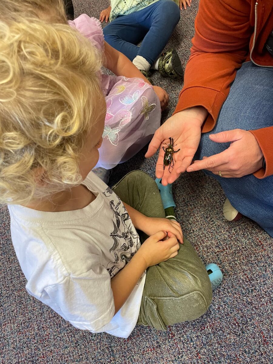A learner sits cross-legged on the floor watching a metallic beetle held in a teacher's hand