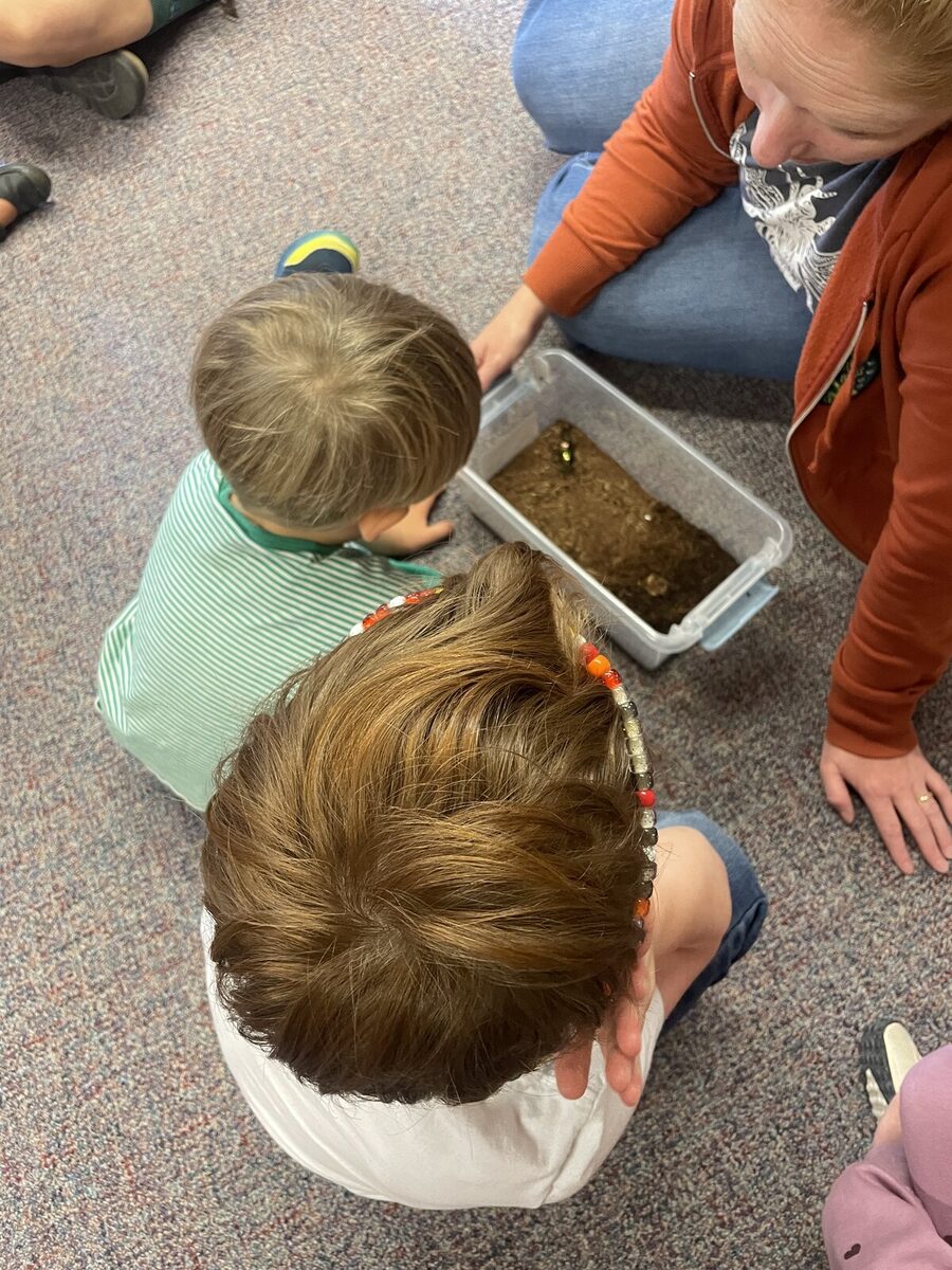 A teacher and two learners crouched around a clear bin of soil, searching for insects